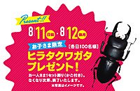 Photo_6