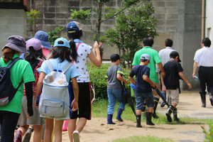 Img_1679 Img_1679
