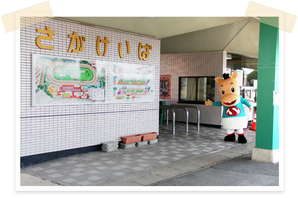 さがけいば 入り口 写真