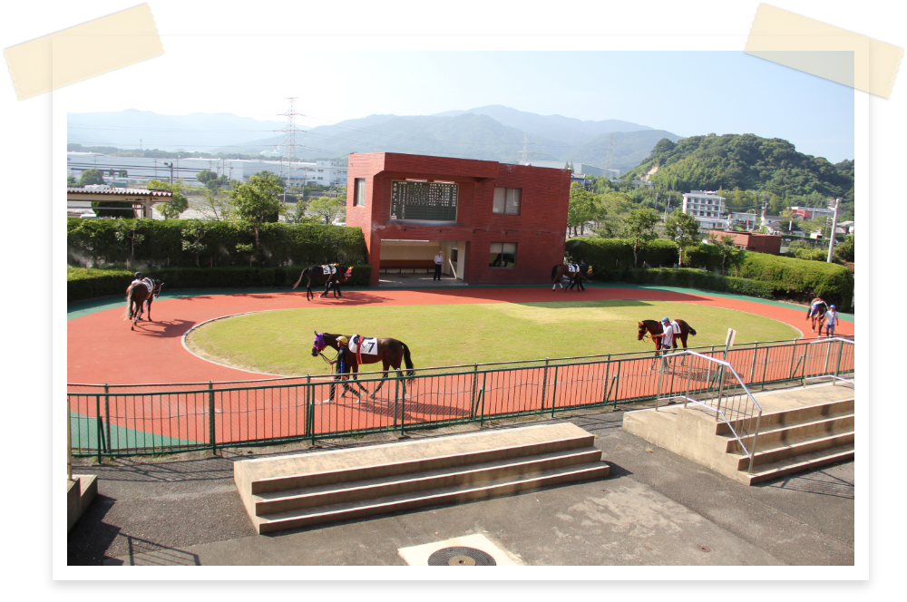 さがけいば パドック 写真