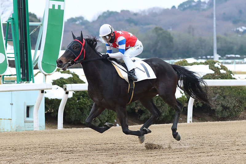倉富隆一郎騎手 地方競馬通算1,500勝達成！ | 佐賀競馬（さがけいば）