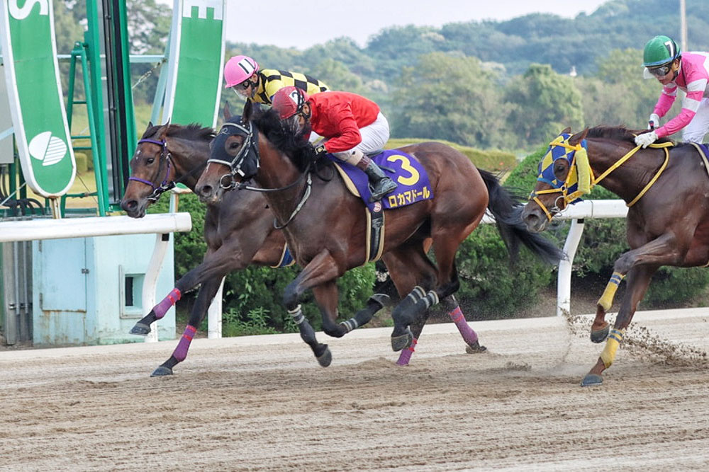 佐賀ヴィーナスカップ