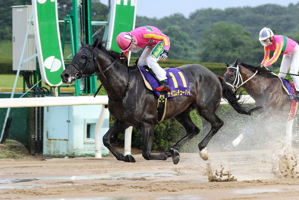 第25回 霧島賞