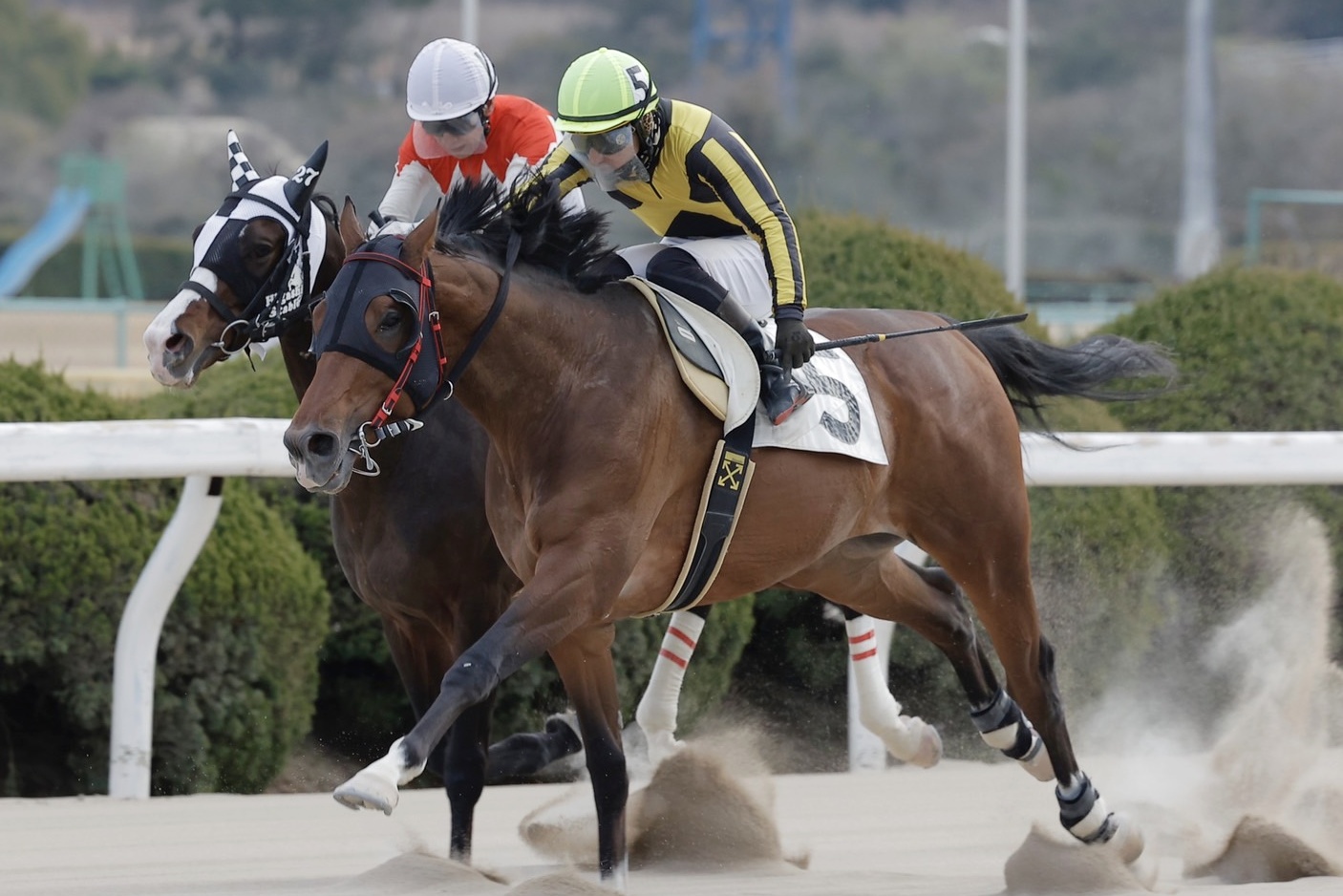 真島正徳調教師の初勝利について 佐賀競馬(さがけいば)