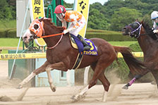 予定馬写真