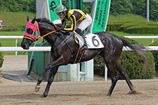 予定馬写真