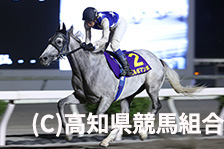 予定馬写真