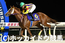 予定馬写真