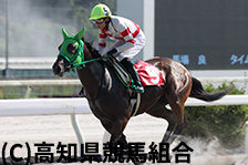 予定馬写真