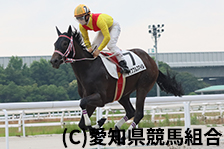 予定馬写真