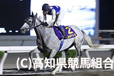 予定馬写真