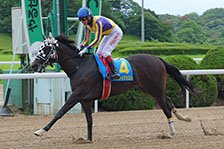 予定馬写真