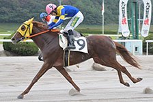 予定馬写真