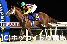 予定馬写真