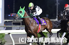 予定馬写真