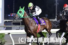 予定馬写真