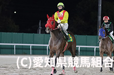 予定馬写真