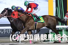 予定馬写真