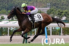 予定馬写真