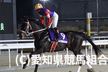 予定馬写真