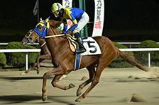 予定馬写真