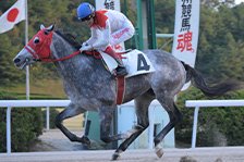 予定馬写真