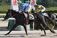 予定馬写真
