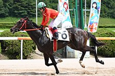 予定馬写真