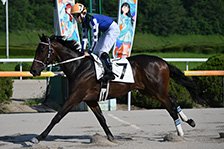 予定馬写真