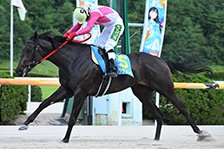 予定馬写真