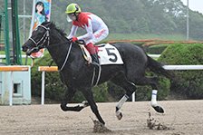 予定馬写真