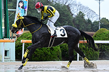 予定馬写真
