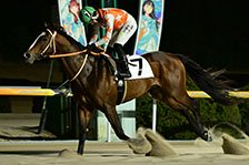 予定馬写真