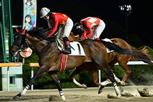ウルトラキッド