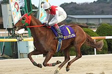 ダバイシュクレ