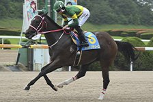 トリトンテソーロ