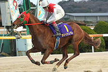 ダバイシュクレ