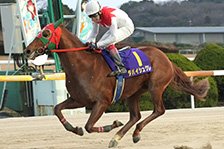 ダバイシュクレ