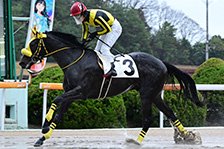 ニシノガウェイン