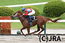 ストレングス