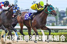 予定馬写真