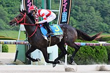 タカヨシ