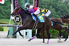 ブルーミストラル