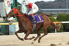 ダバイシュクレ